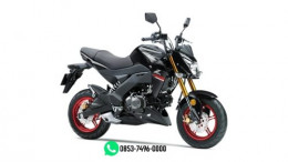 Z125 PRO