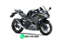 NINJA 250 ABS SE MDP SMART KEY