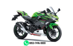 NINJA 250 ABS SE SMART KEY